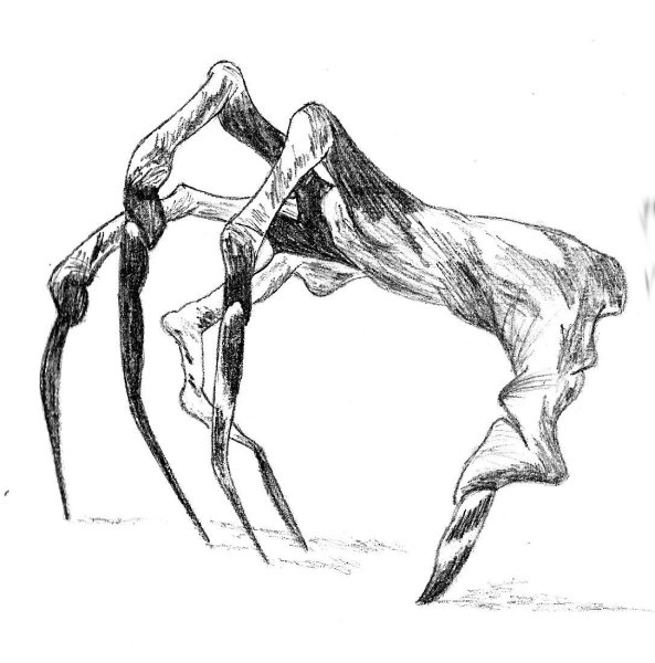 Лапы дракона референс