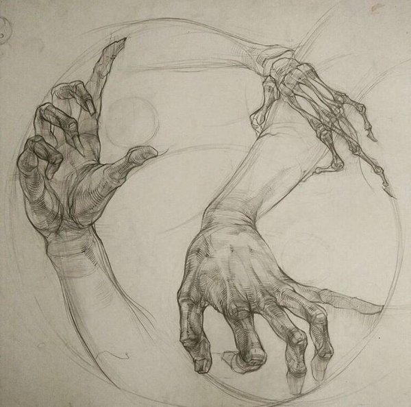 Эгон Шиле скетчи руки