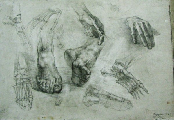Наброски кистей рук, стопы