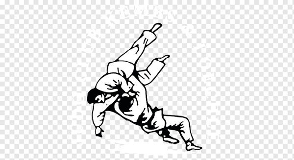 Раскраска каратист