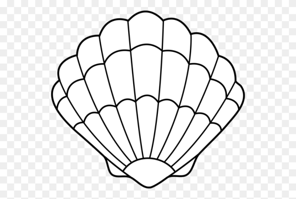 Ракушки для вырезания