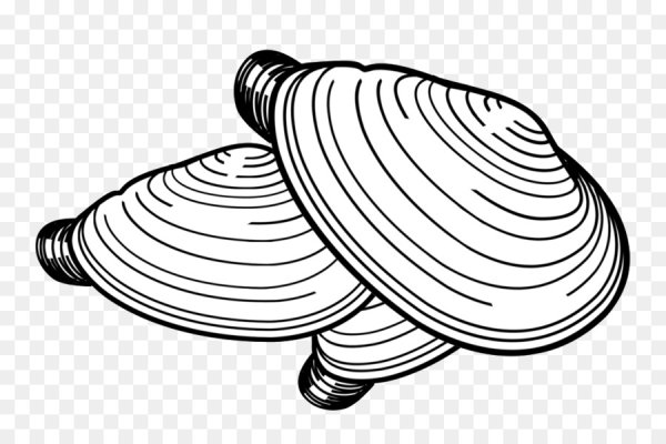 Моллюски чб