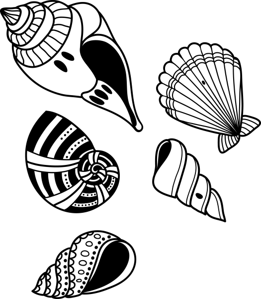 Стилизованная морская раковина