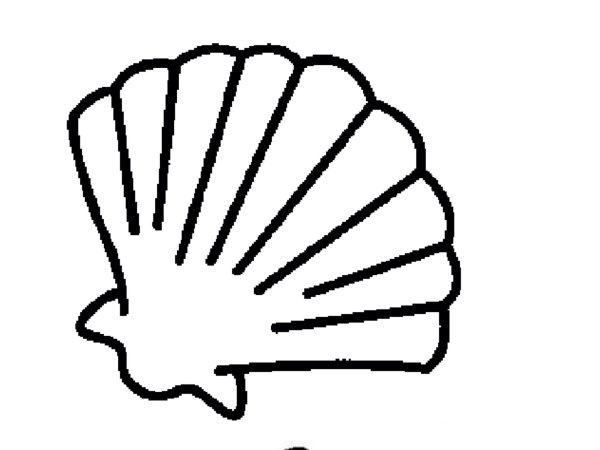Ракушка раскраска для детей