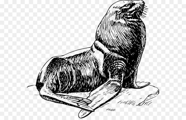 Линогравюра с моржами