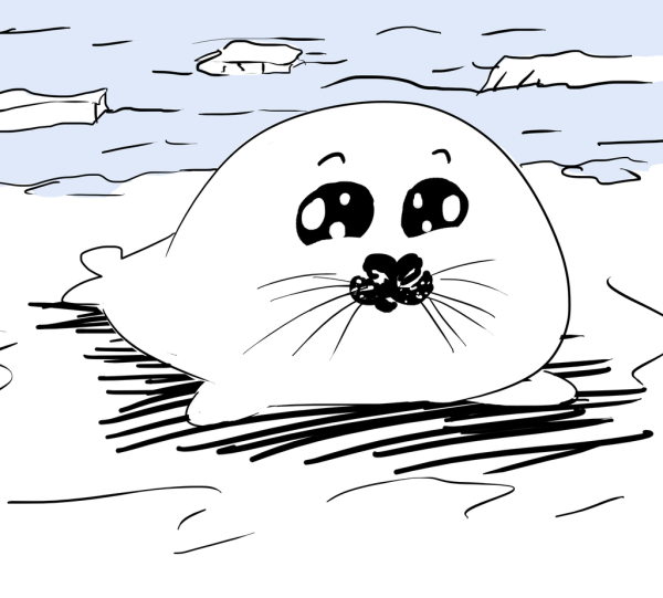 Нерпа Байкальская раскраска