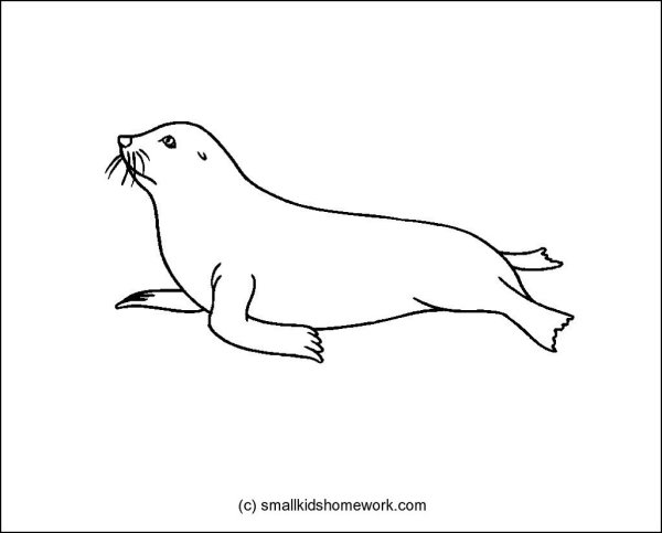 Трафарет тюлень для детей
