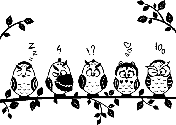 Веселые птички на ветке