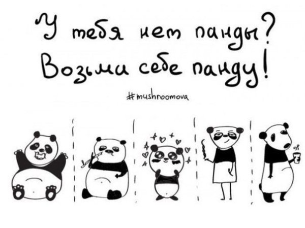 Веселые объявления для настроения