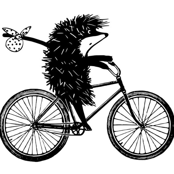 Ежик в тумане на велосипеде