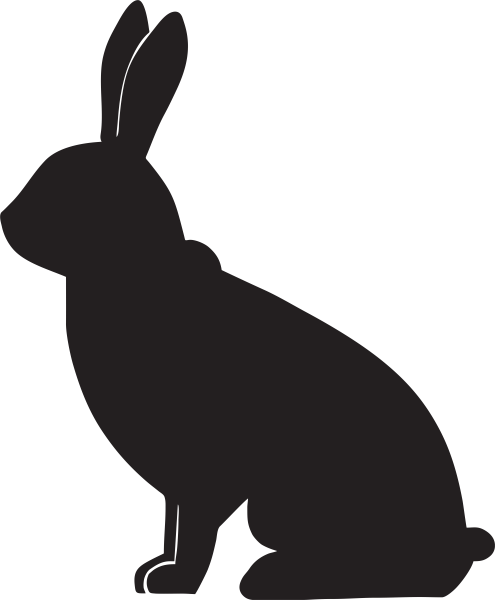 Тень кролика