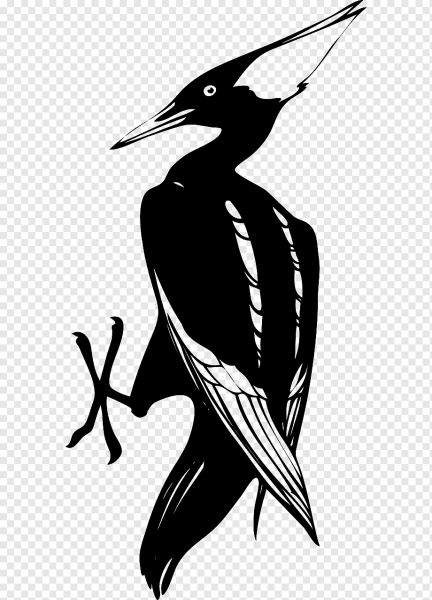 Схематичное изображение птички