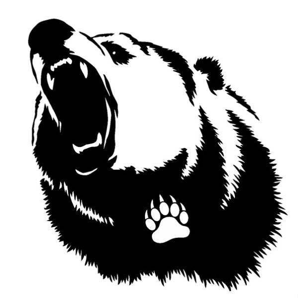 Медведь черно белая Графика