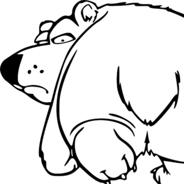 Наклейка белый медведь