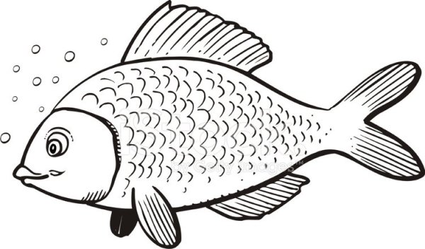 Карась раскраска для детей