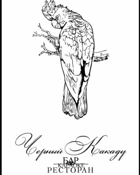 Попугай Какаду