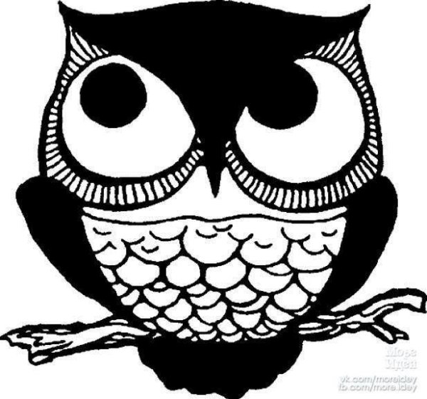 Сова черно белая