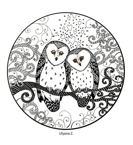 Совушки в круге