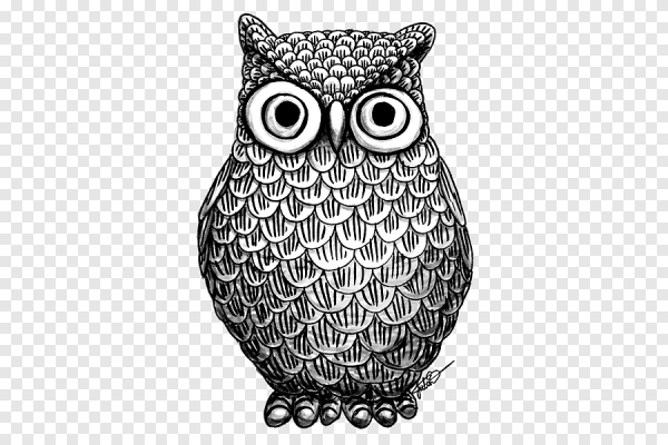 Сова рисунок черно-белый