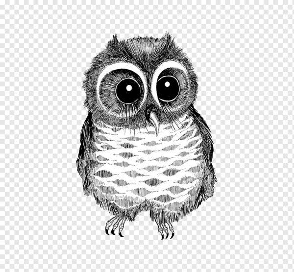 Совушки черно белые