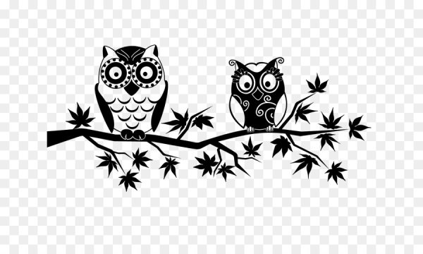 Совушки на ветке черно белая