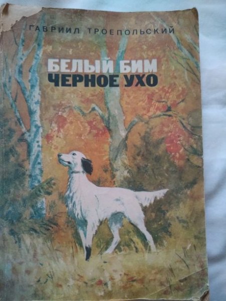 Белый Бим черное ухо на охоте