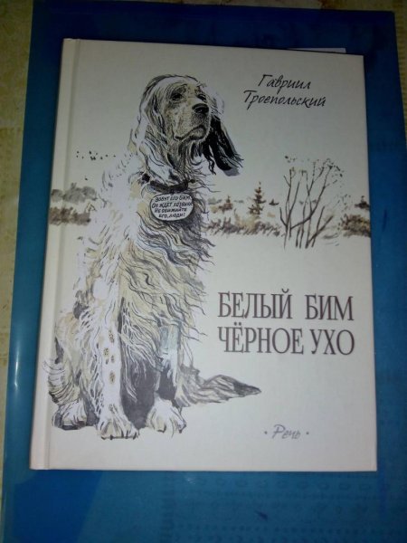 Белый Бим черное ухо