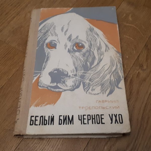 Гавриил Троепольский “белый Бим черное ухо” иллюстрации