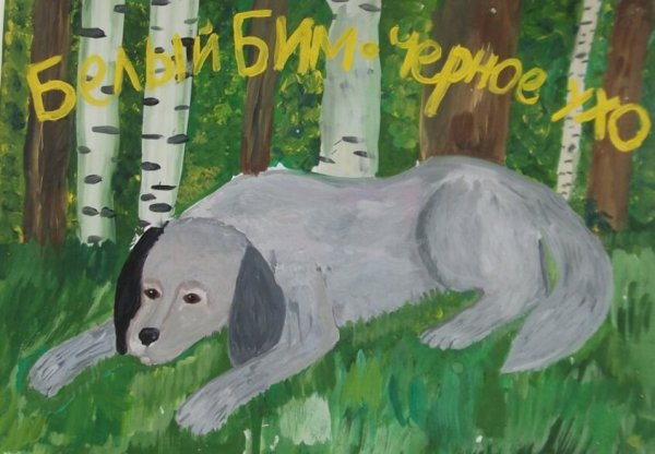 Белый Бим чёрное ухо рисунок карандашом