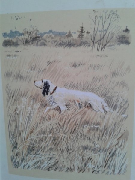 Белый Бим, черное ухо (СССР, 1976 Г.)