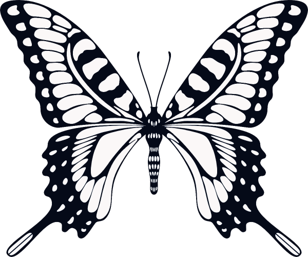 Бабочки для печати черно белые