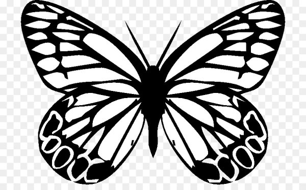 Бабочка черный контур