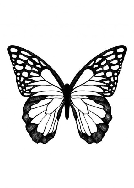 Татуировка бабочка эскиз
