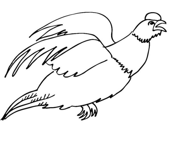 Кавказский тетерев раскраска