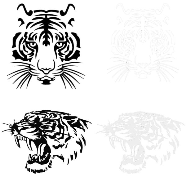 Тигр тату на белом фоне