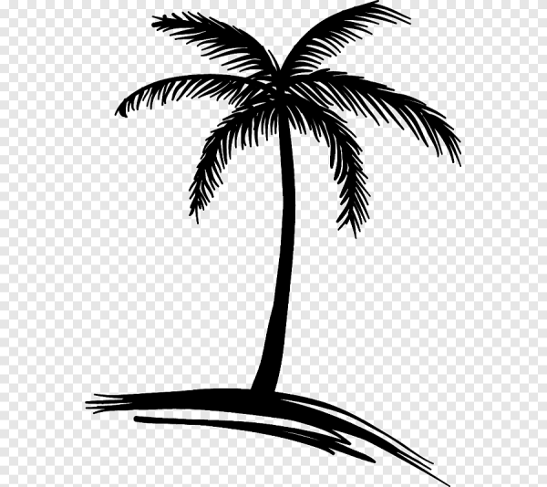 Пальма силуэт