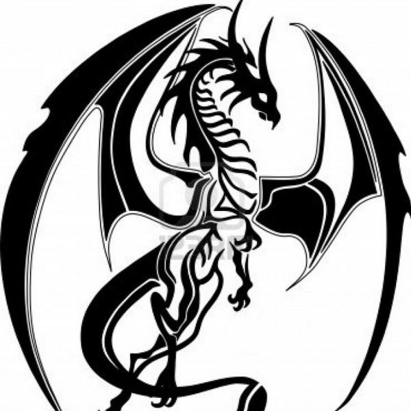 Дракон черно белый