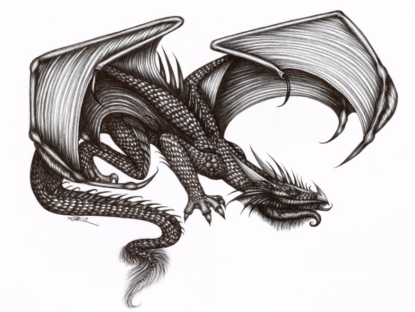 Дракон ч/б