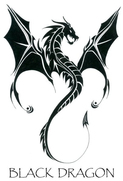 Схематичное изображение дракона