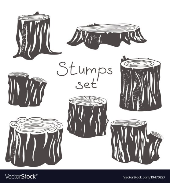 Пеньки раскраска для детей