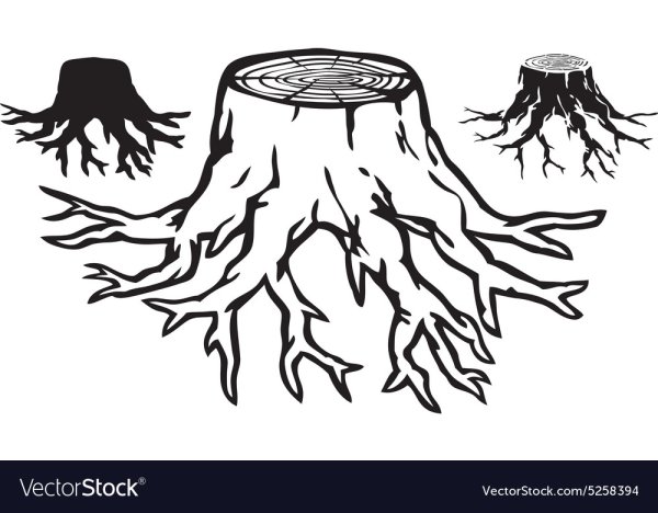 Пенек раскраска для детей