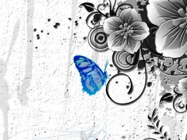 Черно белые рисунки