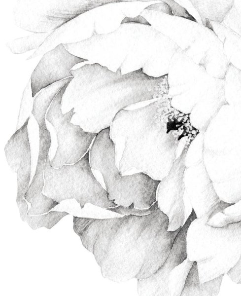 Абстракция в черно белых тонах