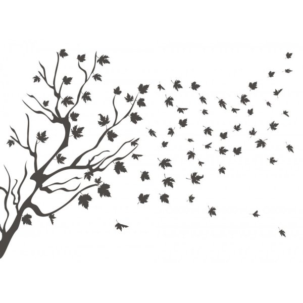 Раскраска осенний лес