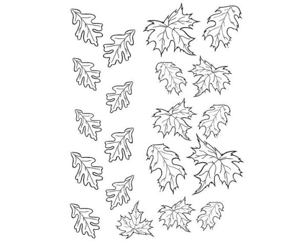 Раскраска. Осень