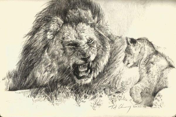 Лев рисунок