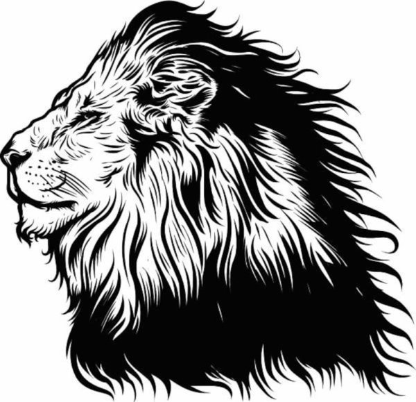 Лев векторное изображение