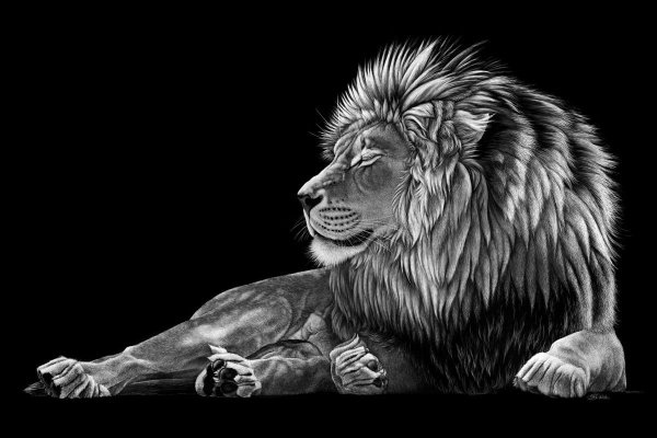 Лев гравировка