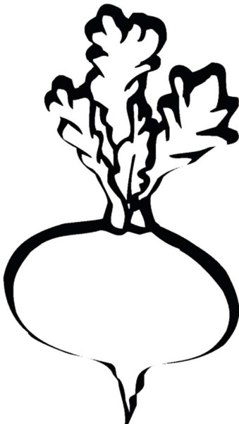 Свекла раскраска