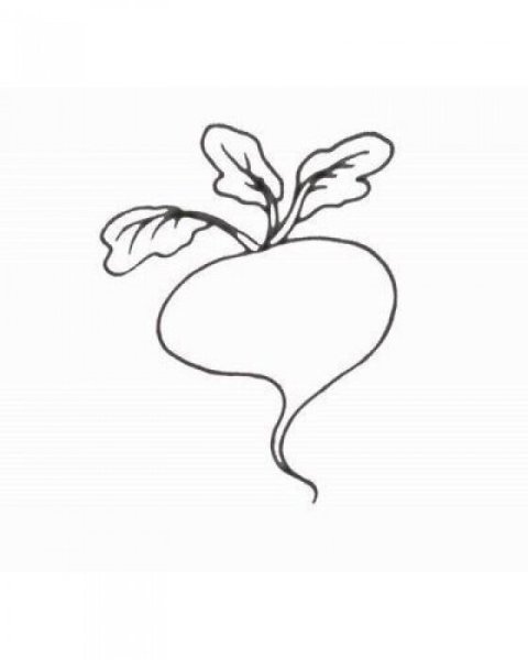 Репка для раскрашивания для детей